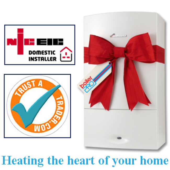 New Gas Boiler Installation Offer Row 1 image